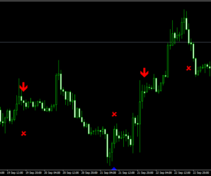 Очень простая торговая стратегия Forex 50 Pips от Риты Ласкер